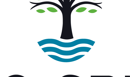 Small Business $10,000 Grant Opportunity from OzSBI and Verizon