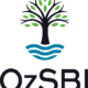 Small Business $10,000 Grant Opportunity from OzSBI and Verizon