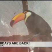 Local Living: City of Camden's small business workshop series, Liberty Day, community campfire, Free Fridays