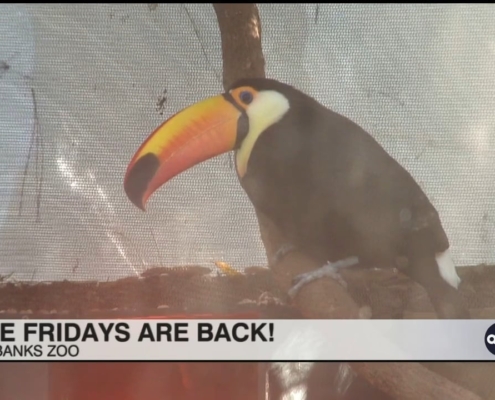 Local Living: City of Camden's small business workshop series, Liberty Day, community campfire, Free Fridays